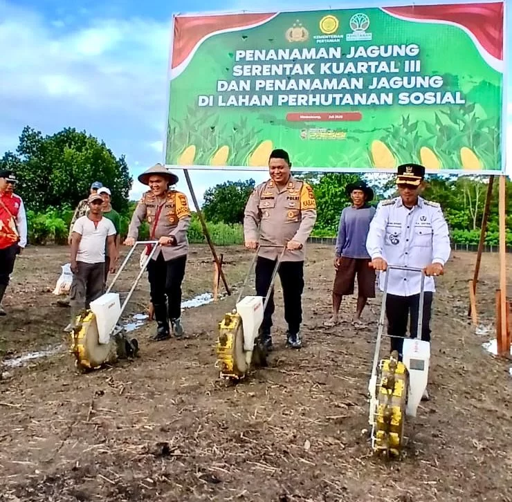 Gandeng Stakeholder, Polres Jayapura lakukan Penanaman Jagung Serentak di Distrik Nimbokrang Sebagai Upaya mendukung Ketahanan Pangan Nasional