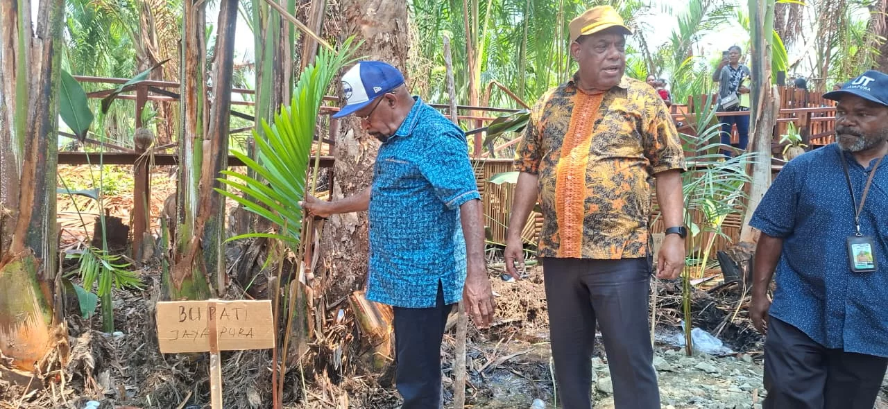Tebar 10 Ribu Benih Ikan dan Tanam Sagu, Bupati Yunus Wonda: Sagu dan Danau Sentani Wajib Dilindungi